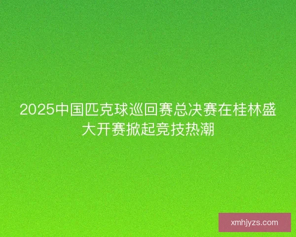 2025中国匹克球巡回赛总决赛在桂林盛大开赛掀起竞技热潮